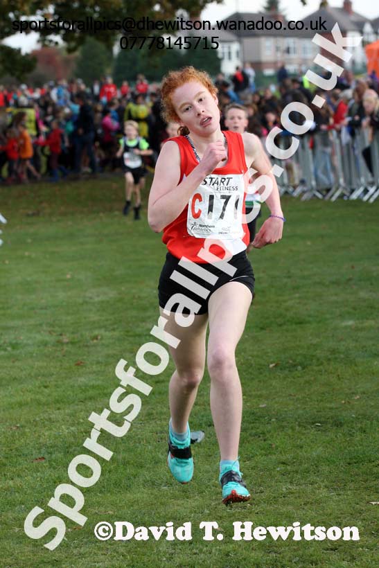 Girls under-13s Northern Cross Country Relays. Photo: David T. Hewitson/Sports for All Pics